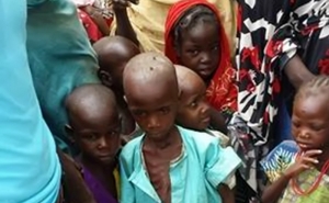 UN: 75 Thousand Children are Dying from Hunger in the Northeastern Nigeria