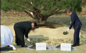  The Leaders of the Two Koreas Planted a Peace Tree on the Border 
