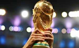  Кубок чемпионата мира по футболу доставлен во Владивосток

 