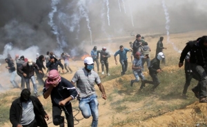 UN Asks 24.6 Million US Dollars for Palestinians in Gaza