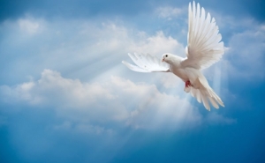 1 января - Всемирный день мира (День всемирных молитв о мире)