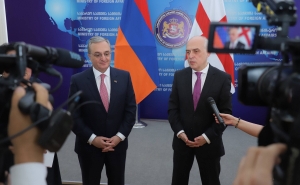 Главы МИД Армении и Грузии обсудили сотрудничество (видео)
