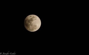  В Армении 5 июня можно будет наблюдать за полутеневым лунным затмением 