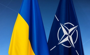  В ФРГ заявили, что НАТО пока не будет принимать в свой состав Украину 