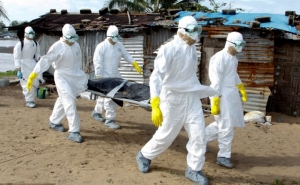 Ebola retreats in West Africa 