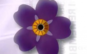 Armenian Schoolchildren will Make1.5 mln Forget-me-nots