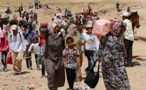 UNHCR Presents a New Plan for Asylum Seekers