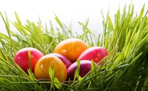 «Քրիստոս հարյավ ի մեռելոց»