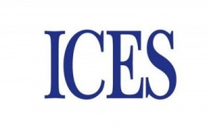 ICES: выборы в НКР соответствуют требованиям международного права