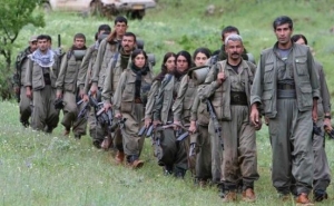 ПНД: силы безопасности Турции ведут этнические чистки против курдов