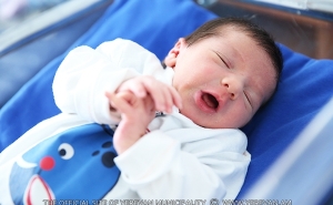 376 Babies Born in Yerevan from March 30 to April 5