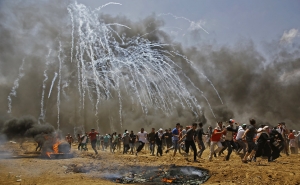 The  Palestinians Death Toll in Gaza Increased to 59