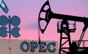 Qatar to Withdraw from OPEC