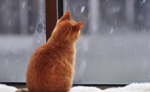 Եղանակը Հայաստանում. առաջիկա 5 օրվա կանխատեսում 