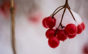 Армения: прогноз погоды на ближайшие 5 дней 