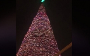 Сегодня в Ереване зажигаются огни главной елки