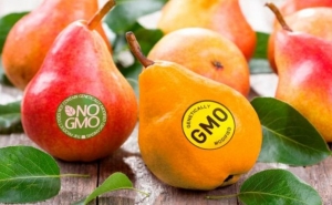 Отныне в Армении и других странах ЕАЭС обязательно маркировать продукты с ГМО