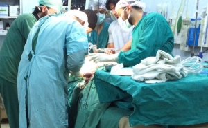 Հայ բժիշկների կողմից Հալեպի բնակչությանը բուժօգնություն է ցուցաբերվում 4 հիվանդանոցներում