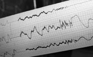 Землетрясение произошло в Западной Грузии