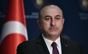 В МИД Турции назвали условия вывода войск из Сирии