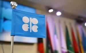 OPEC Sees no Risks of Oil Shortages Amid Tense Situation in Middle East