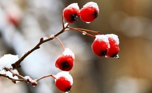 Армения: прогноз погоды на ближайшие 5 дней 