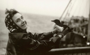 Armenian Anita Caracotchian: The First Female Oceanographer in the World

