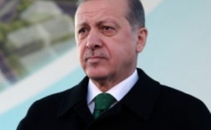 Эрдоган призвал другие страны уважать решение Турции