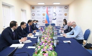 Омбудсмены Армении и Арцаха представили докладчику ПАСЕ доказательства военных преступлений Азербайджана