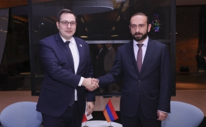 Armenian Foreign Minister presents consequences of Azerbaijani aggression to his Czech counterpart

