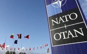 В Турции заявили, что страна может выйти из НАТО из-за провокаций через пять-шесть месяцев