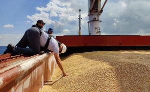 ЕС призвал Россию немедленно возобновить зерновую сделку